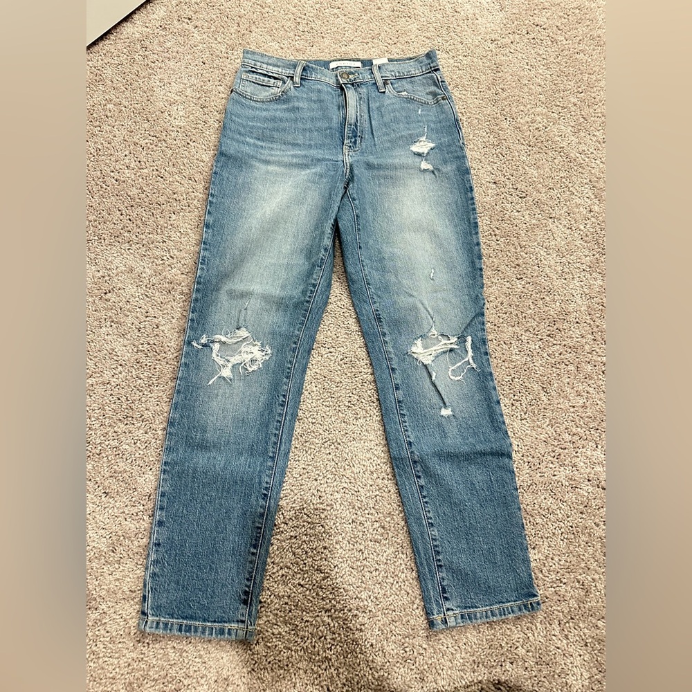 Eunina Light Blue Distressed Straight Leg Jeans